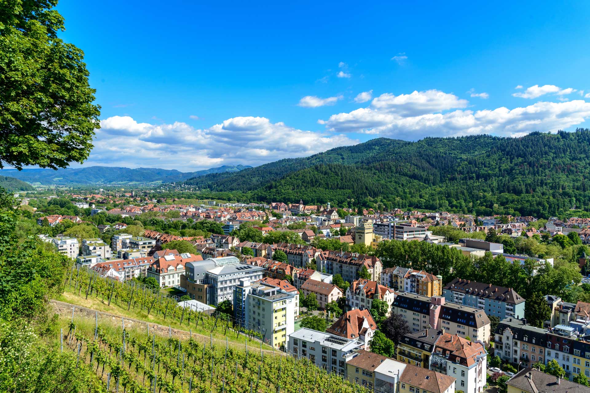 Wohnen in Südbaden: Blick auf Wohnhäuser in Freiburg