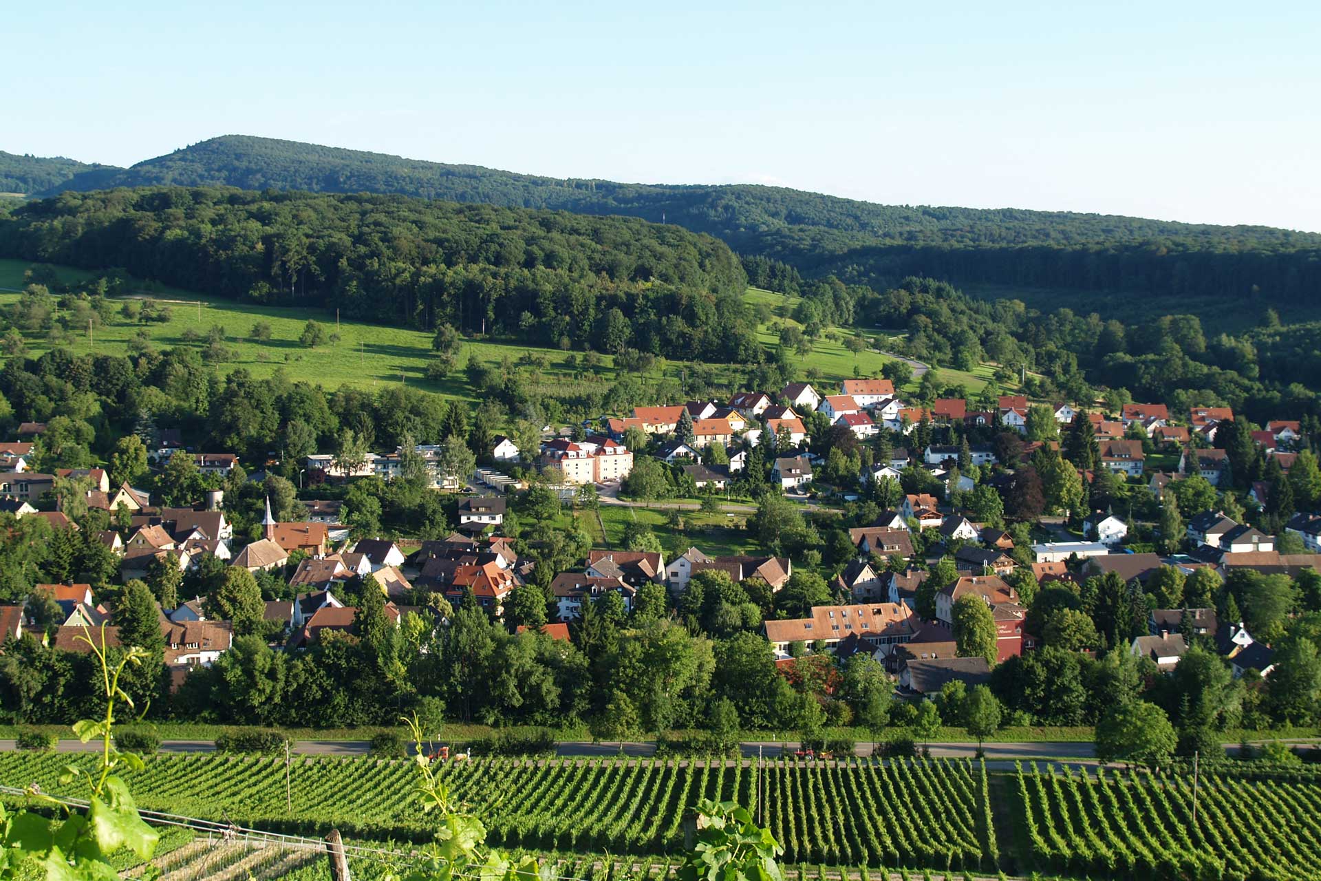 Wohnen in Südbaden: Blick auf Einfamilienhäuser und Mehrfamilienhäuser in Müllheim